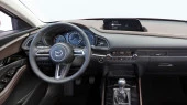 Zaščitno steklo Pixsel za monitor MAZDA CX-30 - 13“ 2018 - 2023